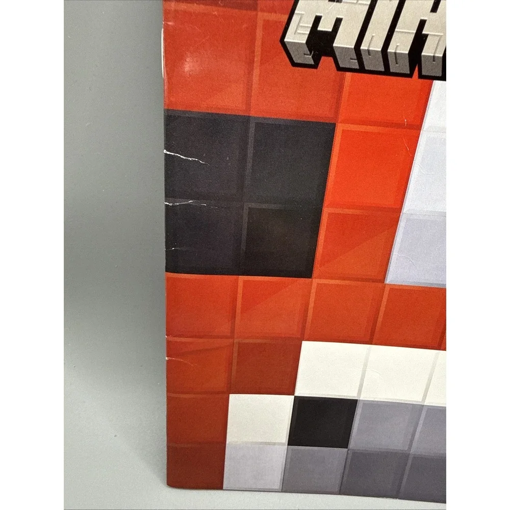 A Hero Like No Other; Nintendo® Minecraft Paperback Illustrated Books
